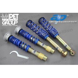 Gwint AP - BMW 5  E39 M5...