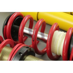 BMW E30 - gwint MTS-technik + Camber Plates Black Gold Edition (51mm)