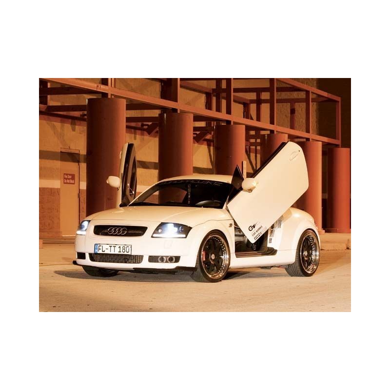 LSD Lambo Style Doors Audi TT 8N