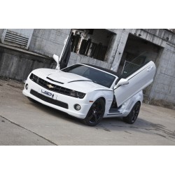 LSD Lambo Style Doors...