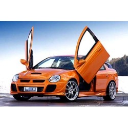 LSD Lambo Style Doors...