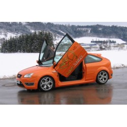 LSD Lambo Style Doors Ford...