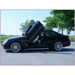 LSD Lambo Style Doors...