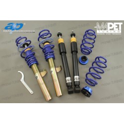Gwint AP - VW Passat B6 /...