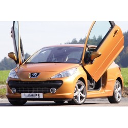 LSD Lambo Style Doors...