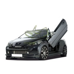 LSD Lambo Style Doors...