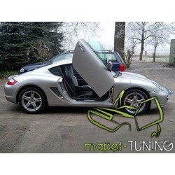 LSD Lambo Style Doors...