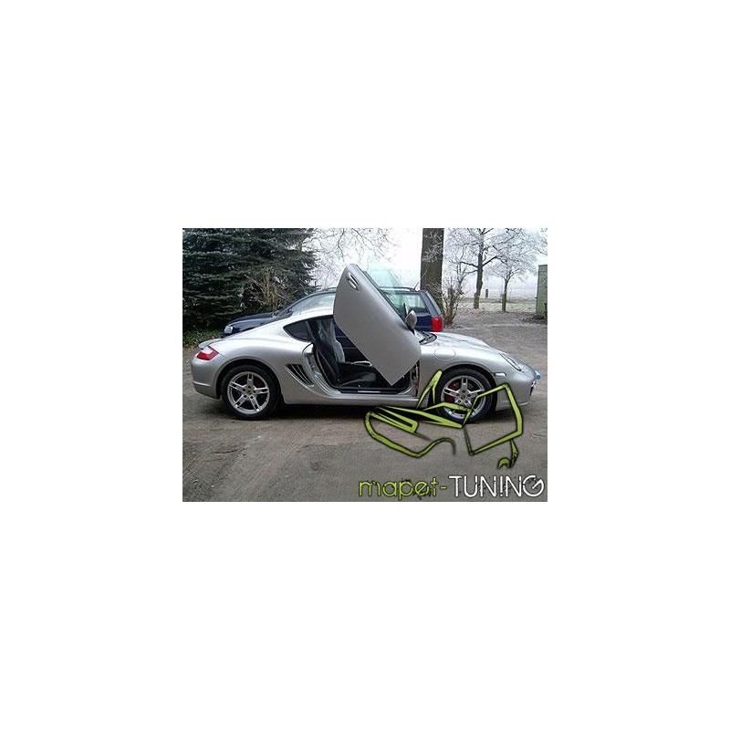 LSD Lambo Style Doors Porsche Cayman