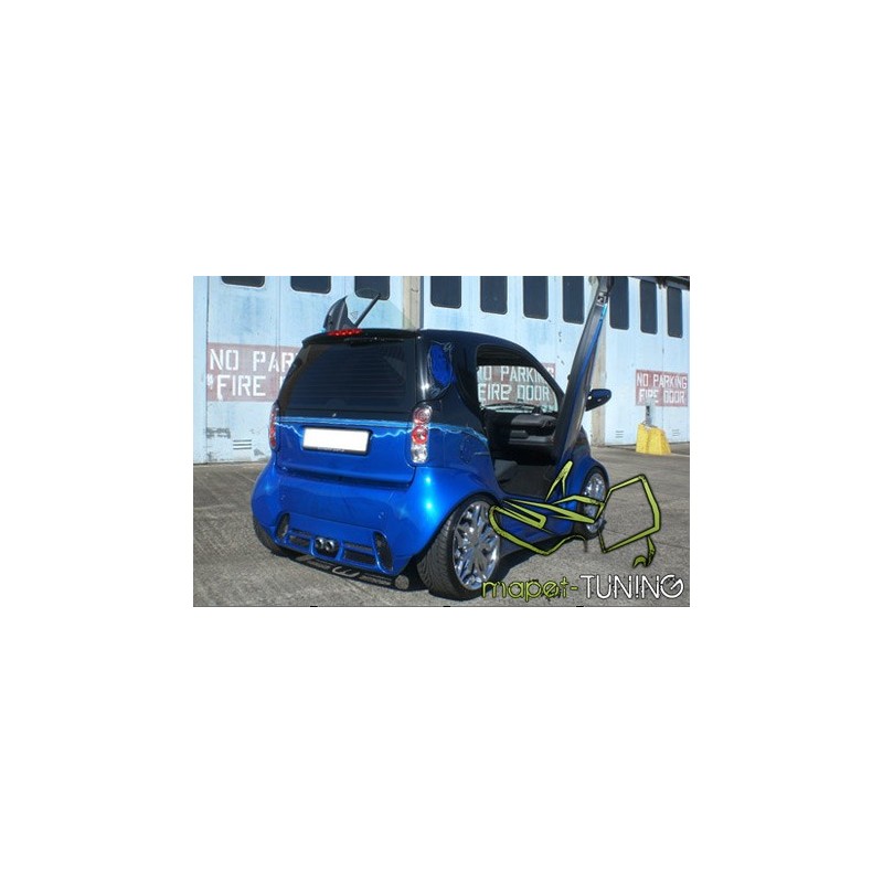 LSD Lambo Style Doors Smart Fortwo