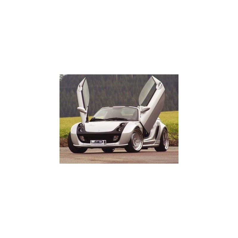 LSD Lambo Style Doors Smart Fortwo Roadster / Coupe