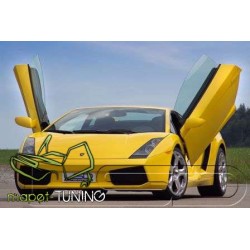 LSD Lambo Style Doors...