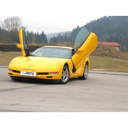 LSD Lambo Style Doors...