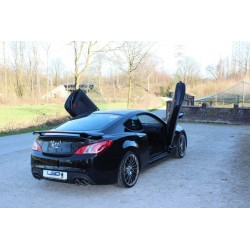 LSD Lambo Style Doors...