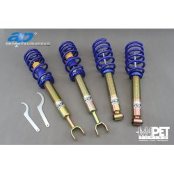 Gwint AP - VW Passat B5 /...